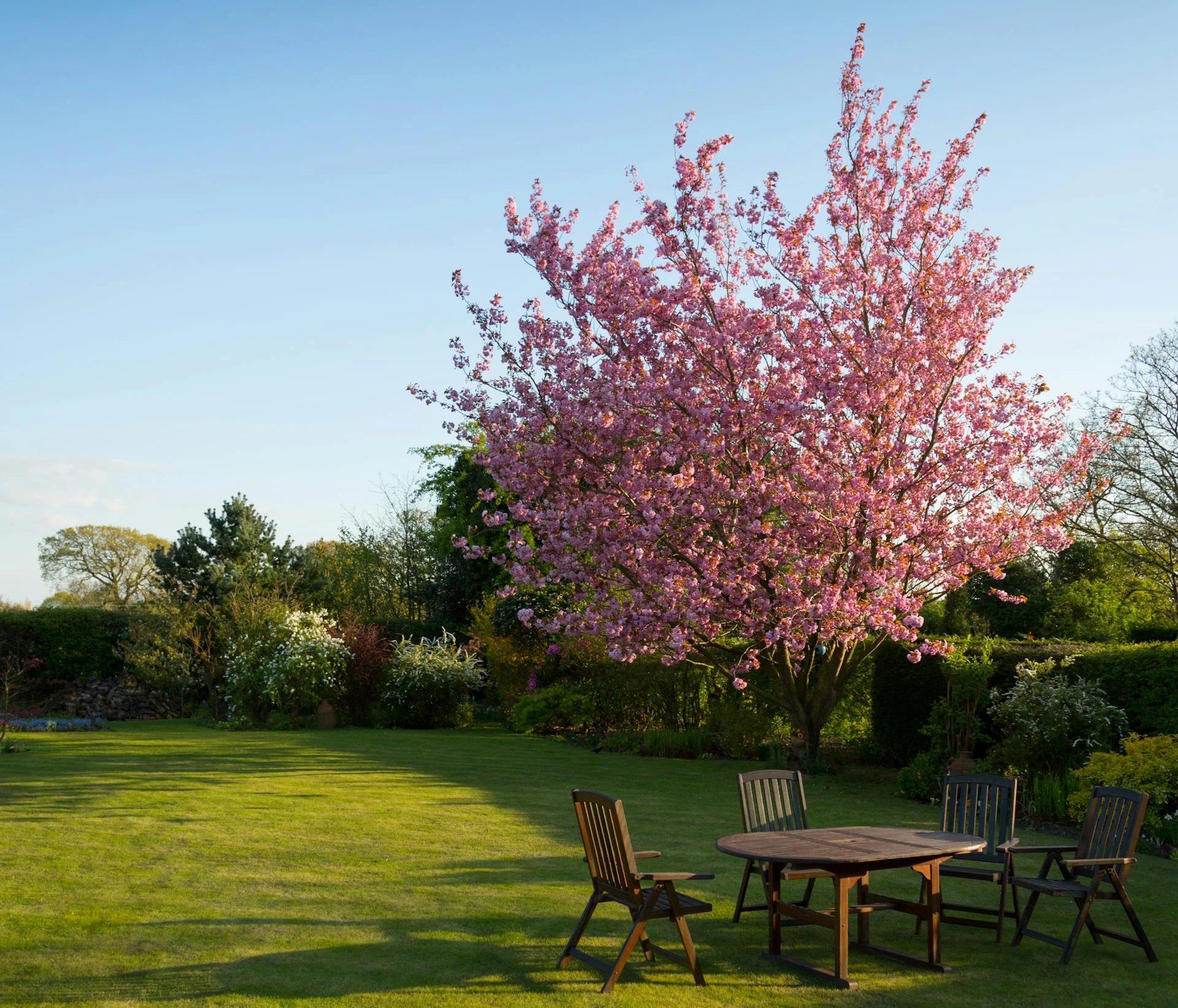 Transformem el teu jardí